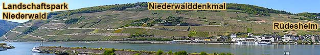 Rüdesheim am Rhein mit Niederwalddenkmal und Brömserburg